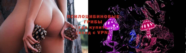 дмт Балахна