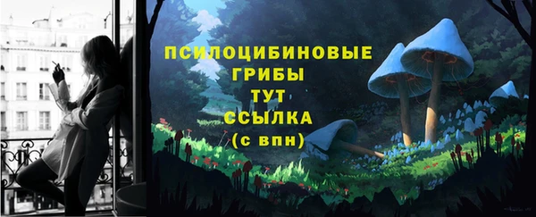 дмт Балахна