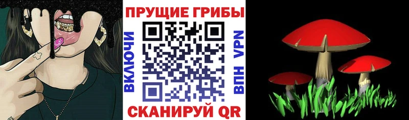 купить наркотики цена  Новомичуринск  Галлюциногенные грибы MAGIC MUSHROOMS 